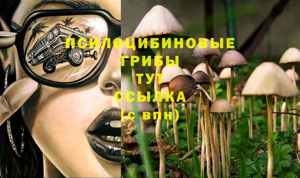 МДПВ Щигры