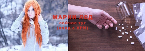 Альфа ПВП Новозыбков