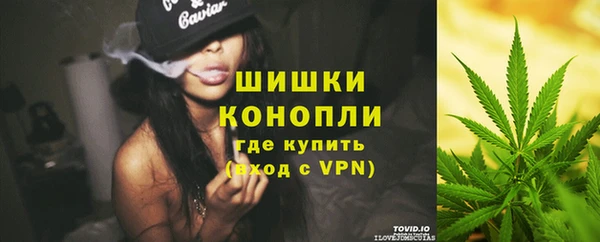Альфа ПВП Новозыбков