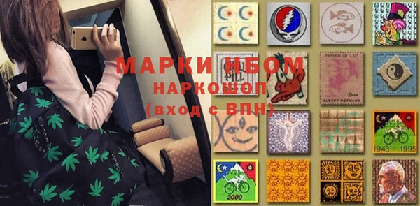 Альфа ПВП Новозыбков