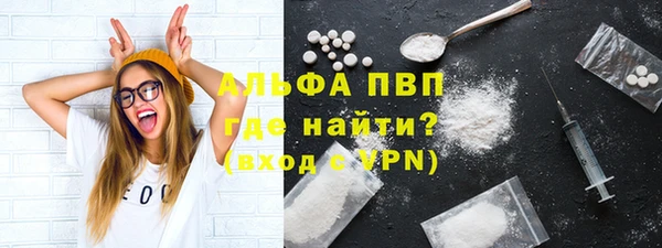 Альфа ПВП Новозыбков