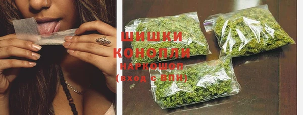 Альфа ПВП Новозыбков