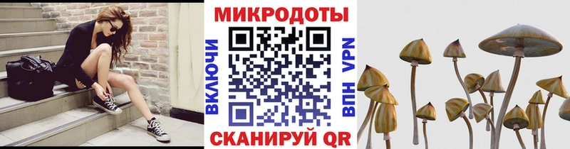 закладки  KRAKEN tor  Псилоцибиновые грибы прущие грибы  Белёв 